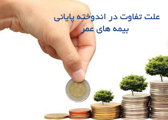 تفاوت در اندوخته بیمه عمر